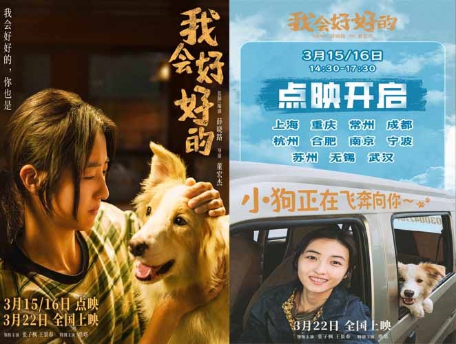 本周末点映！张子枫新片《我会好好的》小狗视角新预告抒发宠物无条件的爱